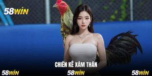 Chiến Kê Xám Thần - Huyền Thoại Bất Bại Có Mặt Trên 58WIN