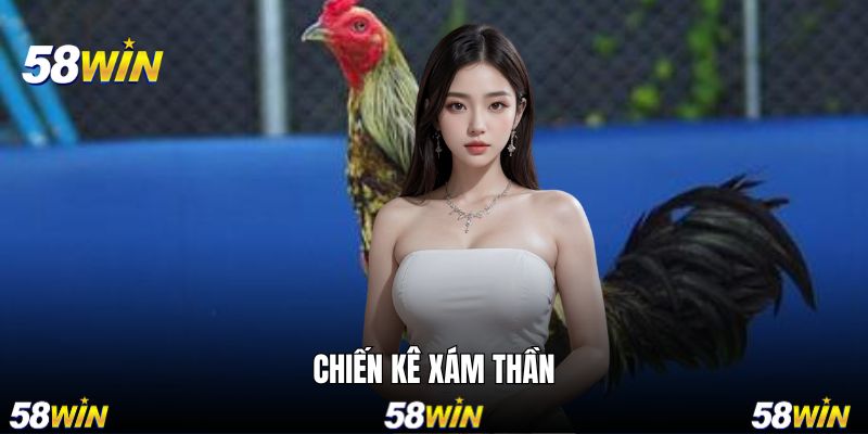 Chiến Kê Xám Thần - Huyền Thoại Bất Bại Có Mặt Trên 58WIN