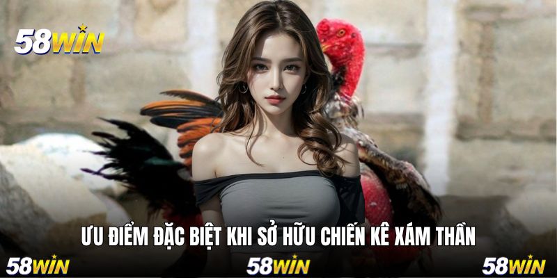 Điểm nổi bật khi sở hữu một chú Xám Thần