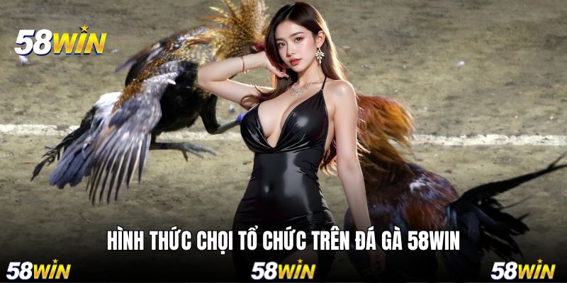 Tổng hợp những thể thức được tổ chức trên nền tảng