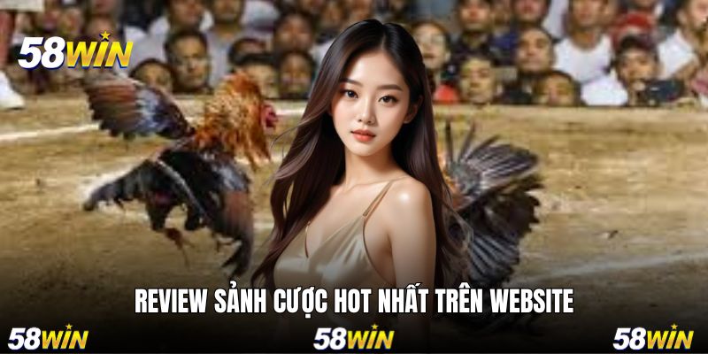 Đánh giá những nhà cung cấp top 1 trên website