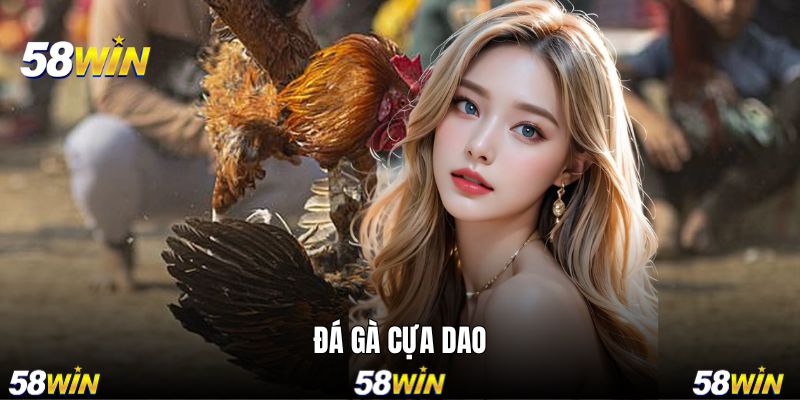 Đá Gà Cựa Dao - Bộ Môn Chọi Kê Nổi Tiếng Có Mặt trên 58WIN