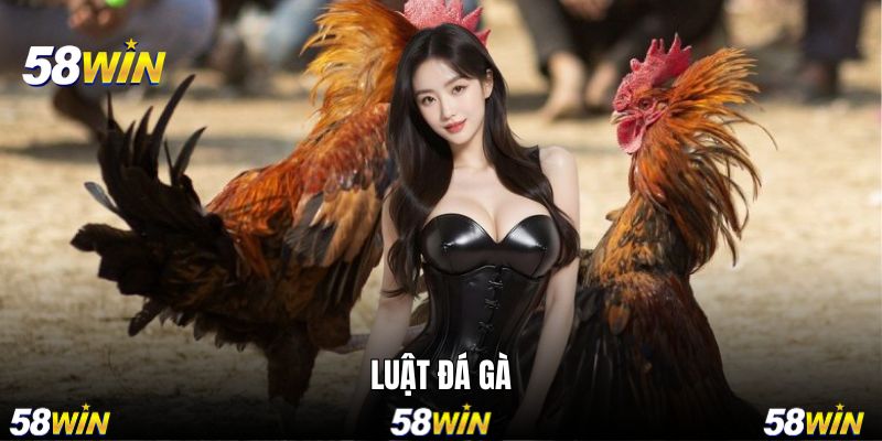 Luật Đá Gà - Tổng Hợp Quy Tắc Cần Biết Trên 58WIN