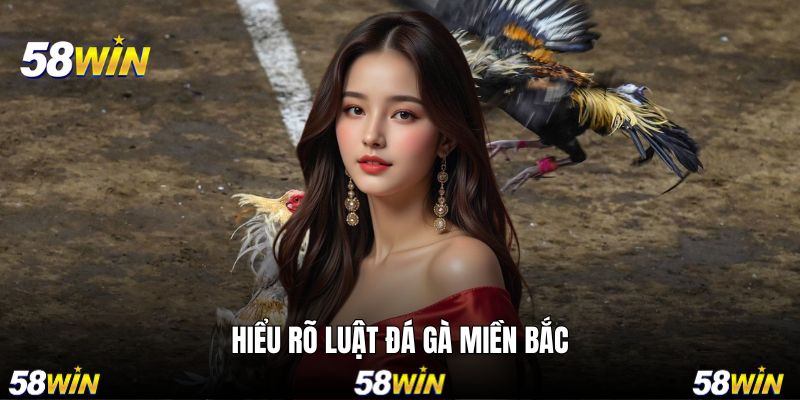 Hiểu rõ luật chọi tại miền trung trên webiste