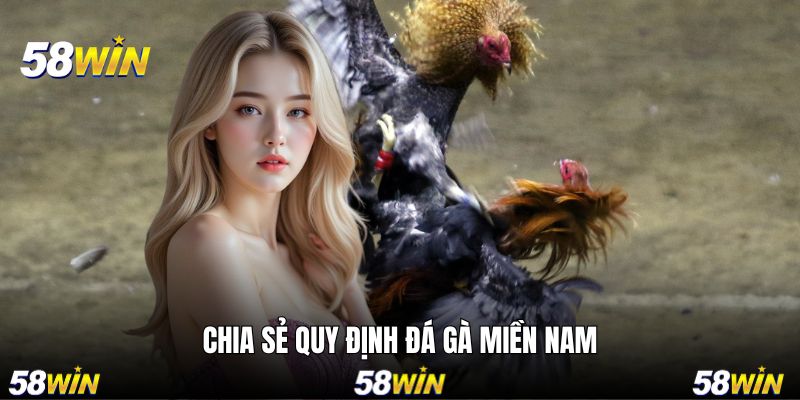 Hiểu rõ những quy định trong quy định đá gà miền Bắc