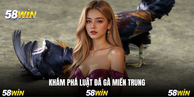 Khám phá quy định được đưa ra trong chọi kê miền Nam